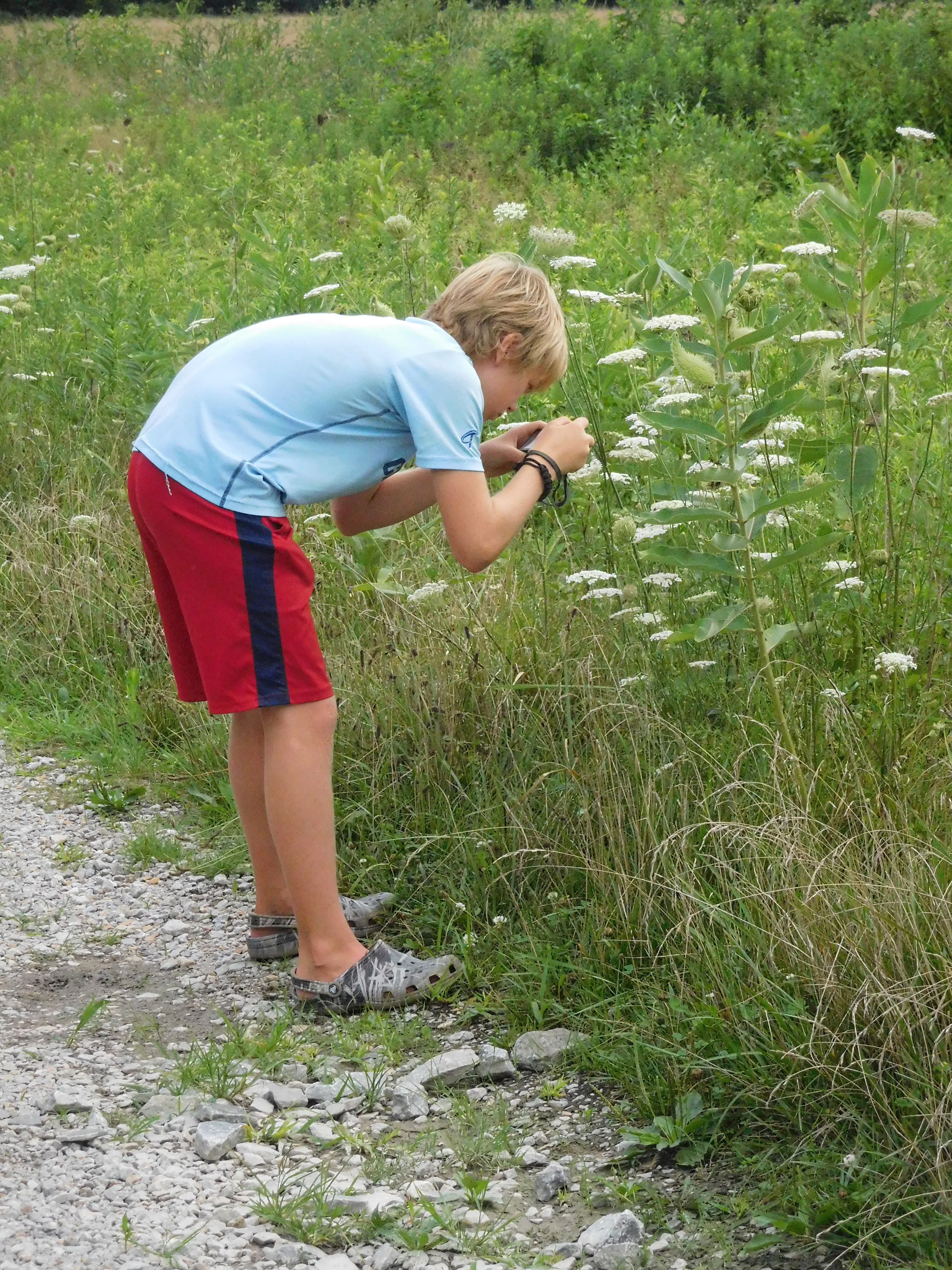A boy bends over plants to take a photo